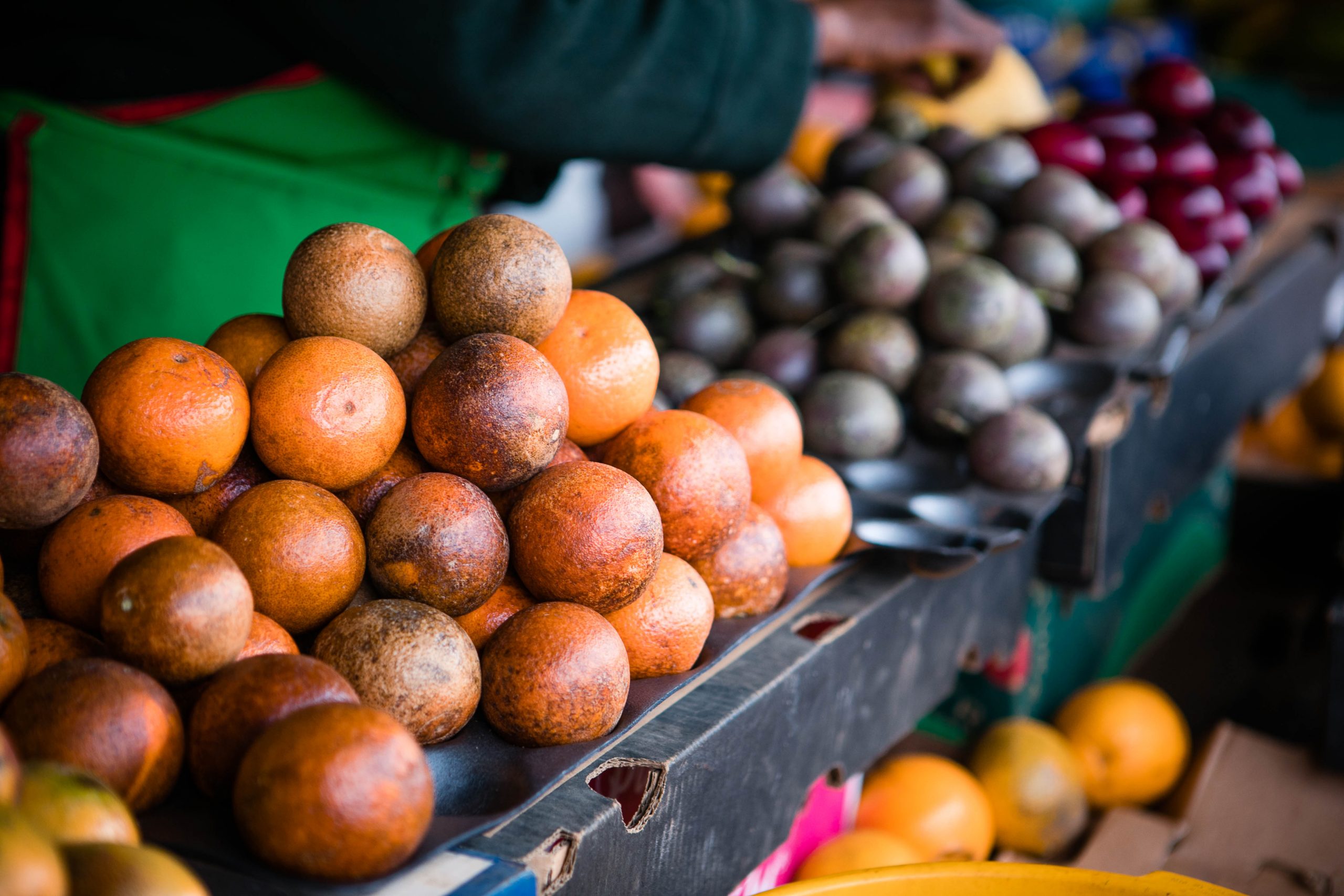 You are currently viewing Un important client annonce son entrée sur le marché zimbabwéen des agrumes