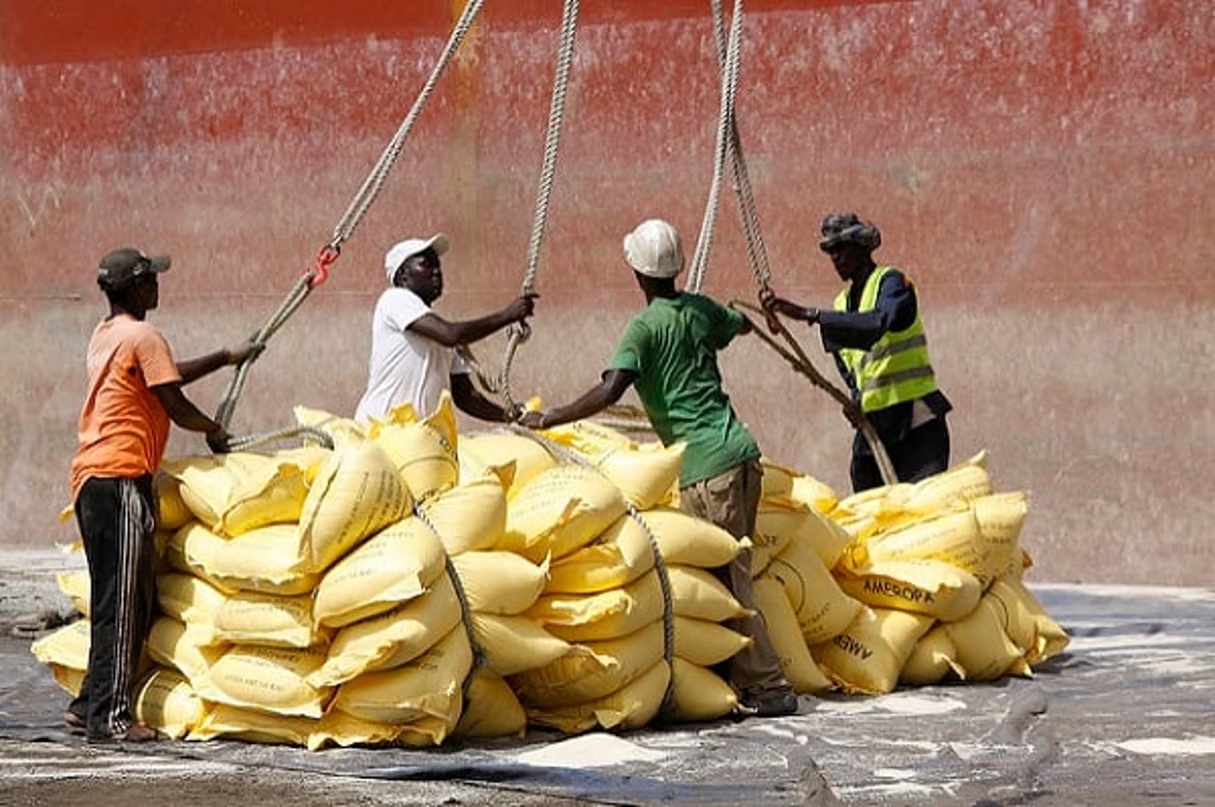 You are currently viewing Marché du riz : les importations du Sénégal ont atteint un record en 2022
