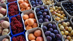 Marché des fruits : les exportations en Mauritanie ralentissent