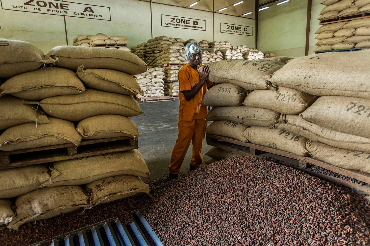 Lire la suite à propos de l’article Marché du cacao : le Ghana retarde la livraison de 350 000 tonnes du produit en 2024/25
