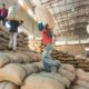 Marché du café : les exportations éthiopiennes dépassent les objectifs de mai 2023